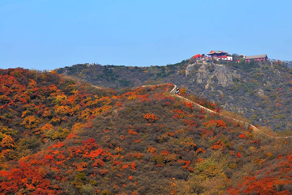  Fragrant Hills filled with red leaves