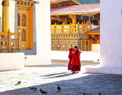 7 Days In-depth Bhutan Tour