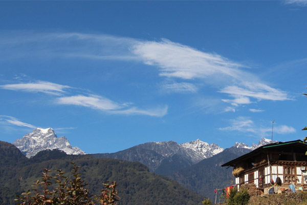 Bumthang Owl Trek