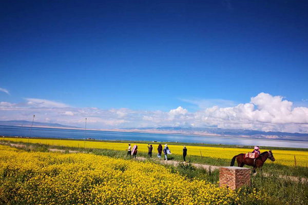 Qinghai Lake