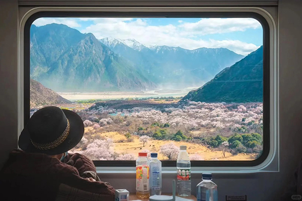 Beautiful Scenery Outside the Tibet Train