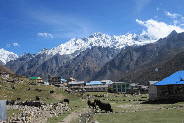 Langtang Trek in Nepal