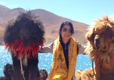 Traveler photo: Taking a photo with the cute Tibetan mastiff at lakeside of Yamdrok. (October 2024)