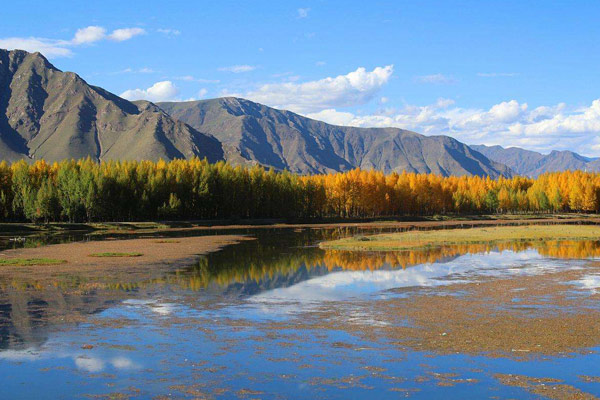 What to Expect for the Highlights of Qinghai-Tibet Railway, Beautiful ...