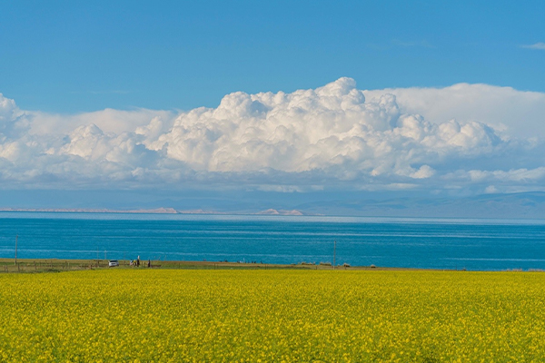 Qinghai Lake in Spring Qinghai Lake in Spring