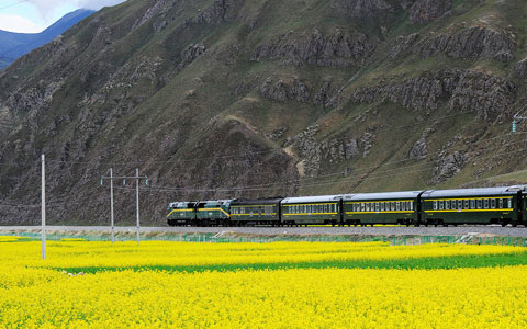 Tibet Train + Lhasa Essence Group Tour (5 Days)