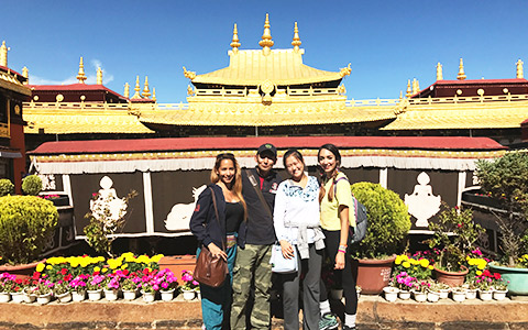 Tibet Train + Lhasa and Namtso Group Tour (7 Days)