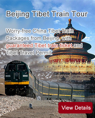 Beijing Tibet Train Tour