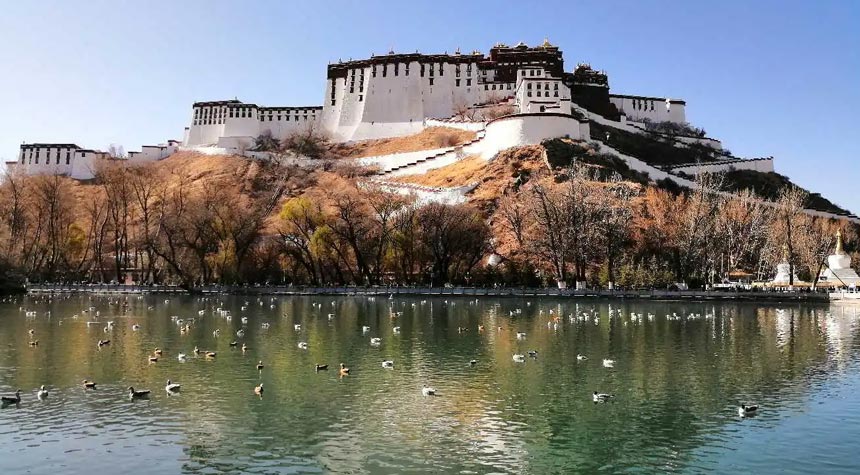 The view of Potala Palace from Dragon Lake Park