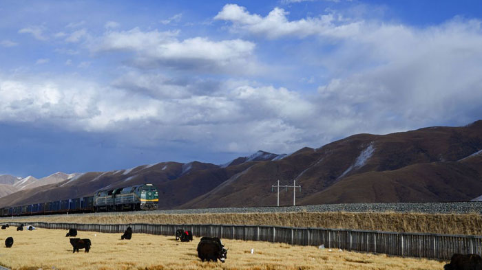 Qinghai-Tibet Railway